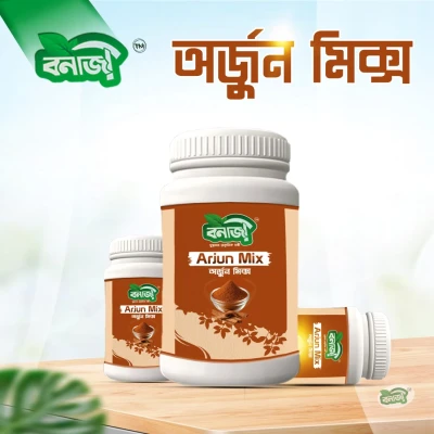 Arjun Mix